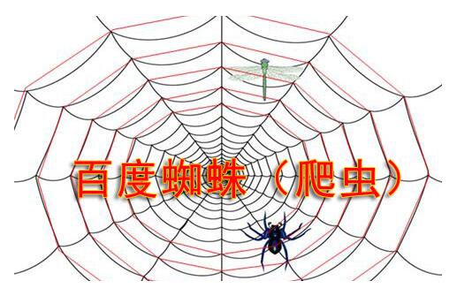 搜索引擎蜘蛛陷阱有哪些？如何避免蜘蛛陷阱